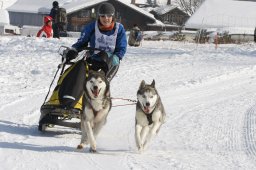 Lenk 2012 SM